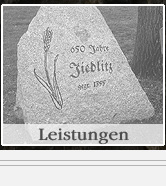 Leistungen